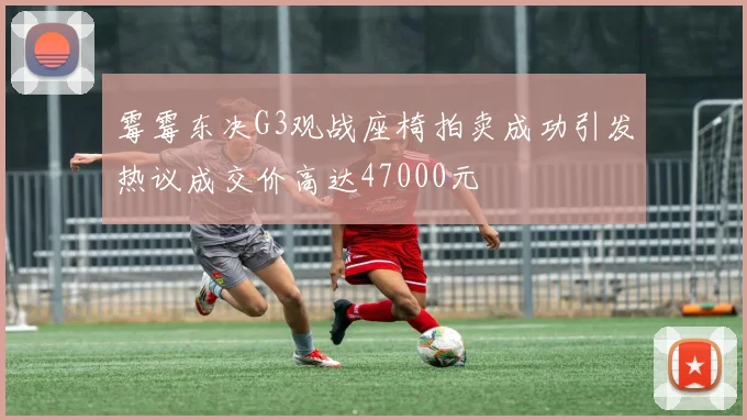 霉霉东决G3观战座椅拍卖成功引发热议成交价高达47000元